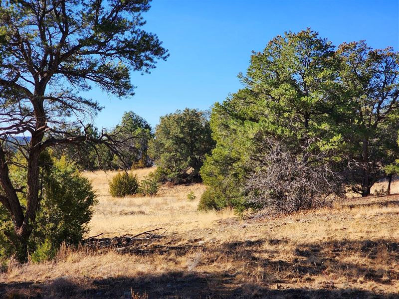 Bring RV On Paved Road : Candy Kitchen : Cibola County : New Mexico