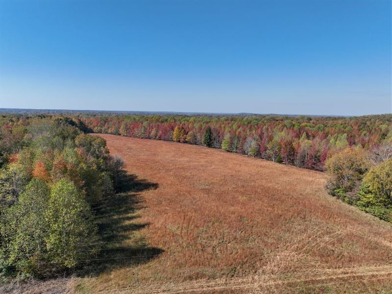 Potential Building Sites or Mini Fa : Lynnville : Giles County : Tennessee