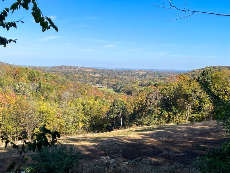 Maury County, Tn, 19.43 Acres : Culleoka : Maury County : Tennessee