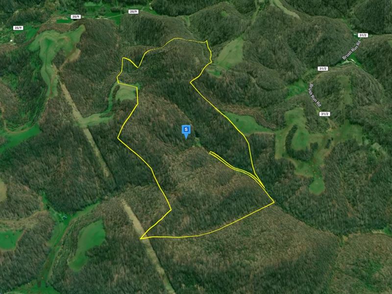 108.86 Acres in Roane County, WV : Looneyville : Roane County : West Virginia