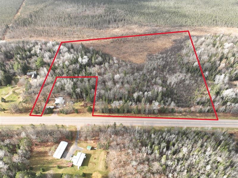 Wooded Parcel Near Phillips : Worcester : Price County : Wisconsin