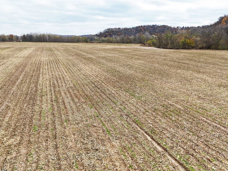 78.3 Ac, Pleasant Hill Twp : Pleasant Hill : Pike County : Illinois