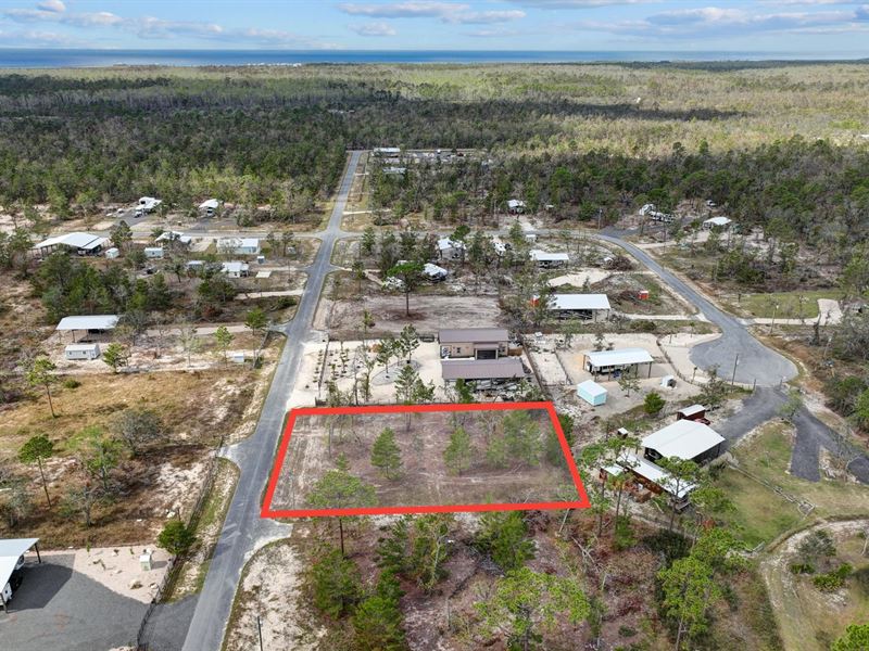 .50 Acre Lot Near Keaton Beach, FL : Perry : Taylor County : Florida