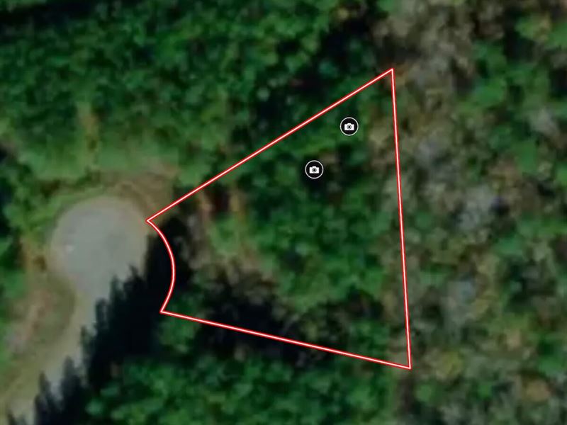 Updated, Approximately 1 Acre : Macon : Warren County : North Carolina