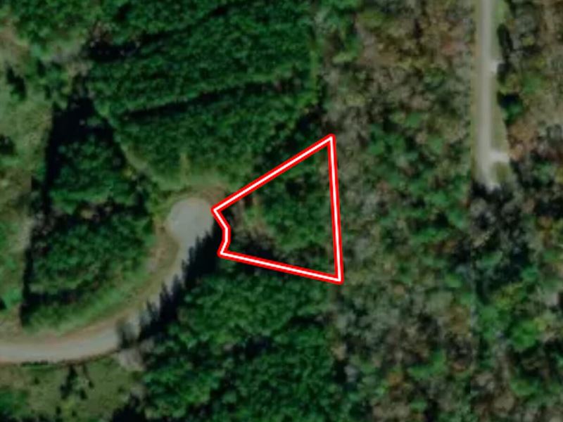 Updated, Approximately 1 Acre : Macon : Warren County : North Carolina