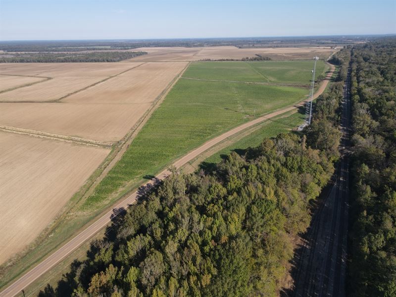 135.66 Acres in Yazoo County, MS : Yazoo City : Yazoo County : Mississippi