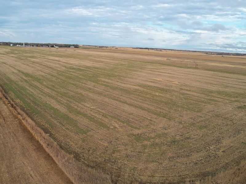 St Charles Farmland 120 : Saint Charles : Gregory County : South Dakota