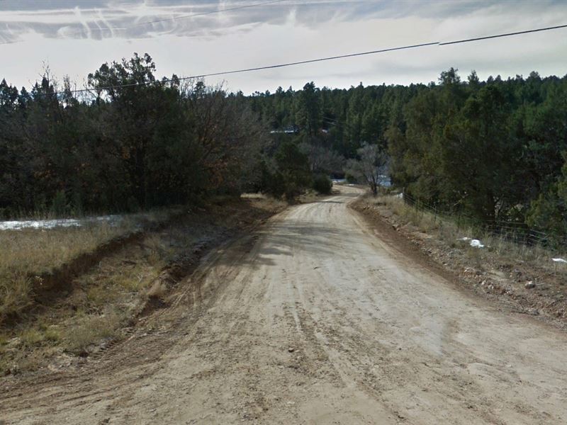 .88 Acre Wooded Lot in Edgewood : Edgewood : Torrance County : New Mexico