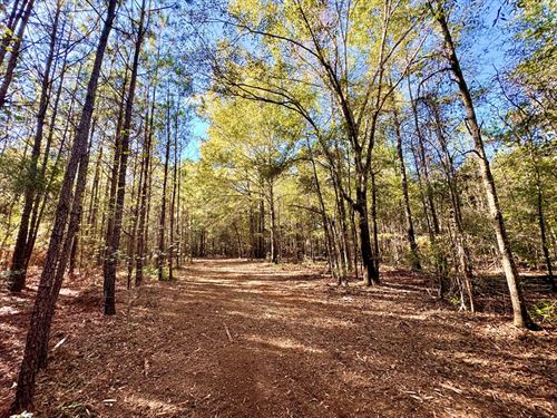 Beautiful Rural Building Lot : Bullard : Twiggs County : Georgia
