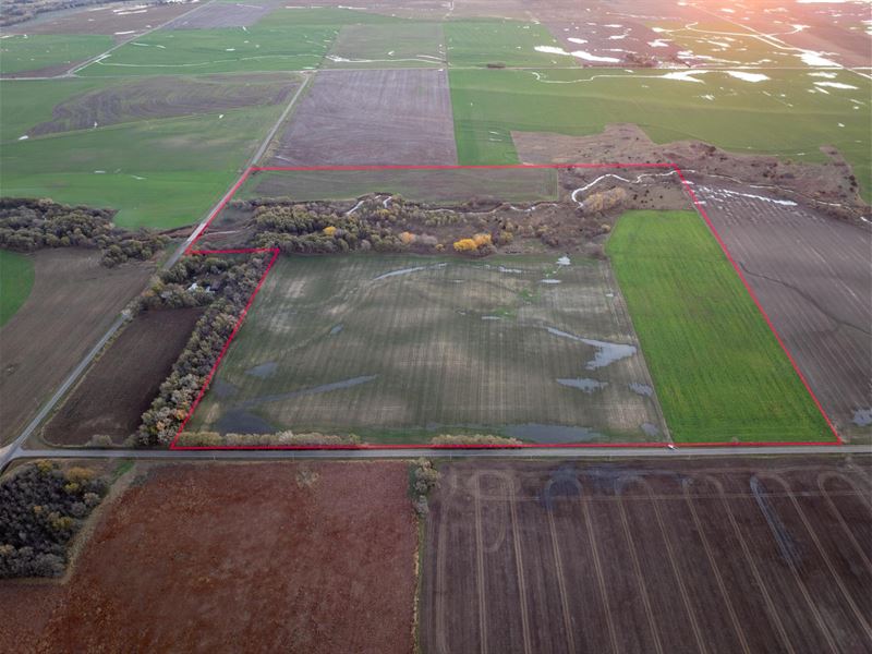 Peace Creek Pasture and Cropland : Sterling : Reno County : Kansas