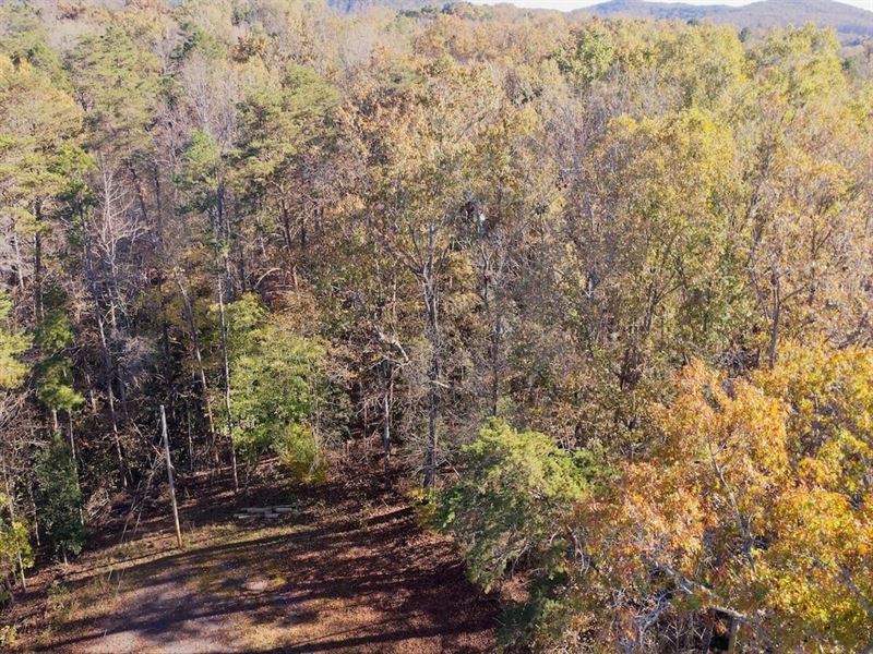 .63 Acre Lot : Troy : Montgomery County : North Carolina