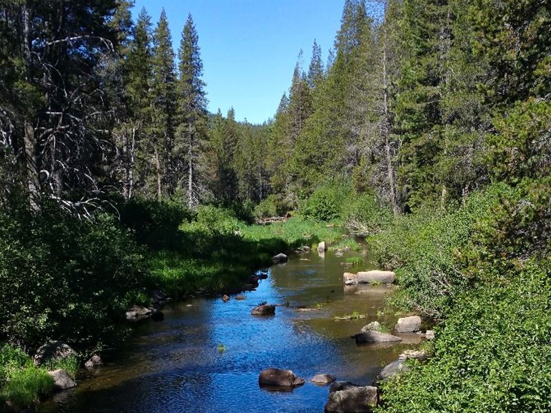 Riverfront : Soda Springs : Nevada County : California