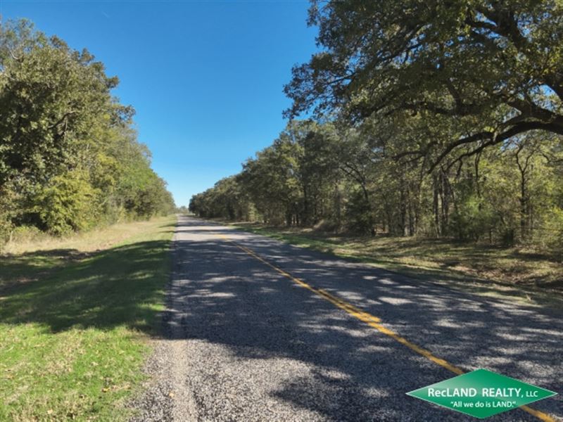 3.5 Ac, Wooded Tract for Home : Mount Pleasant : Franklin County : Texas