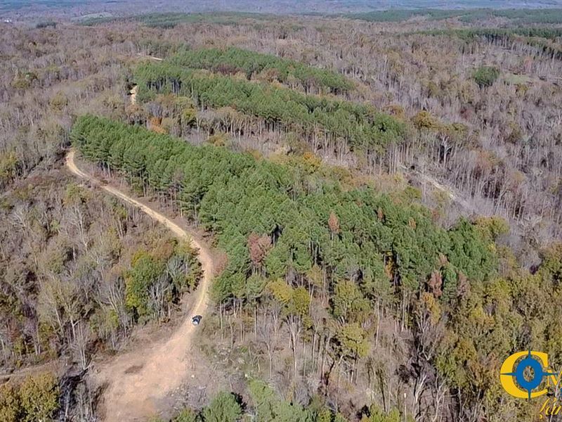 Timber Twist Ridge : Stewart : Stewart County : Tennessee