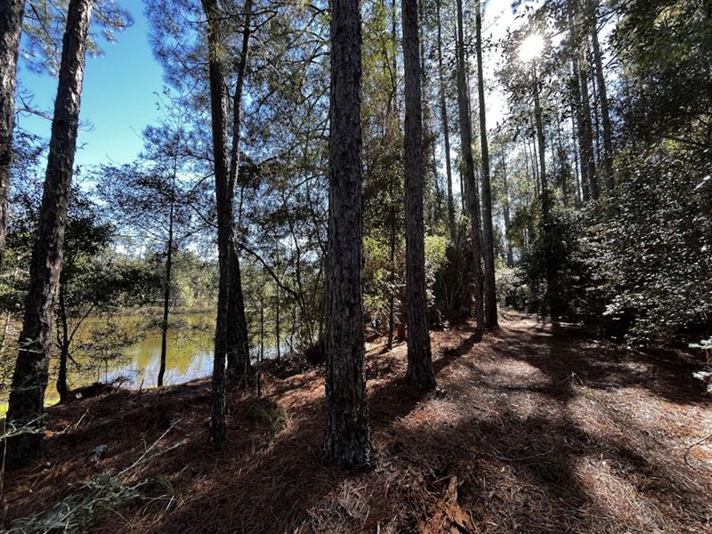 Old MT Zion Road : Bonifay : Holmes County : Florida