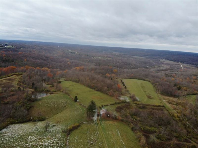 117 Acres of Prime Rural Land in OH : Aurora : Ohio County : Indiana