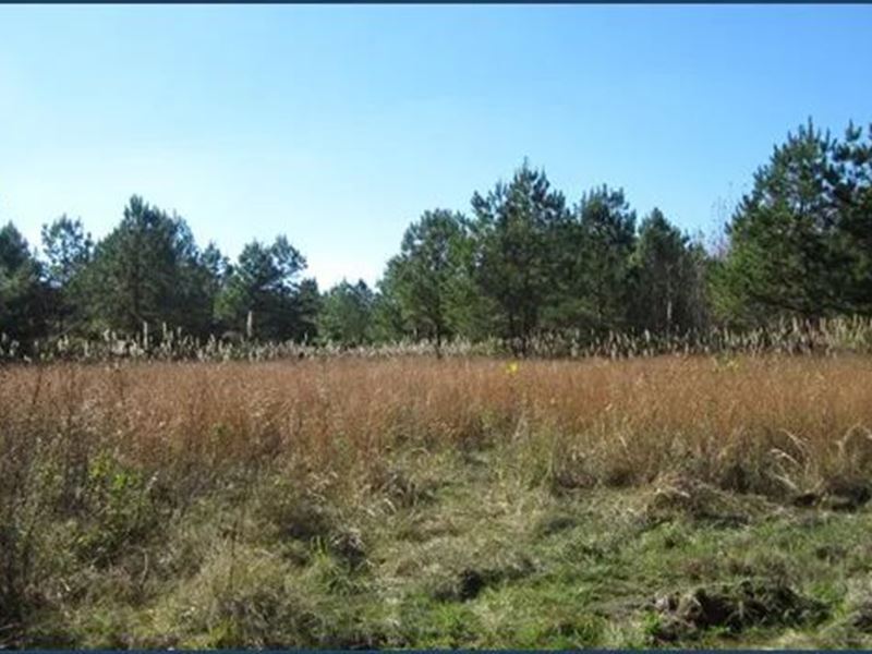 80 Acres in Tippah County in Tipler : Tiplersville : Tippah County : Mississippi