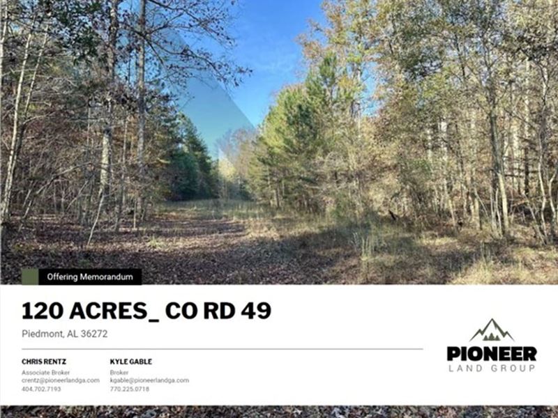 120 Acres, Co Rd 49 : Piedmont : Cleburne County : Alabama