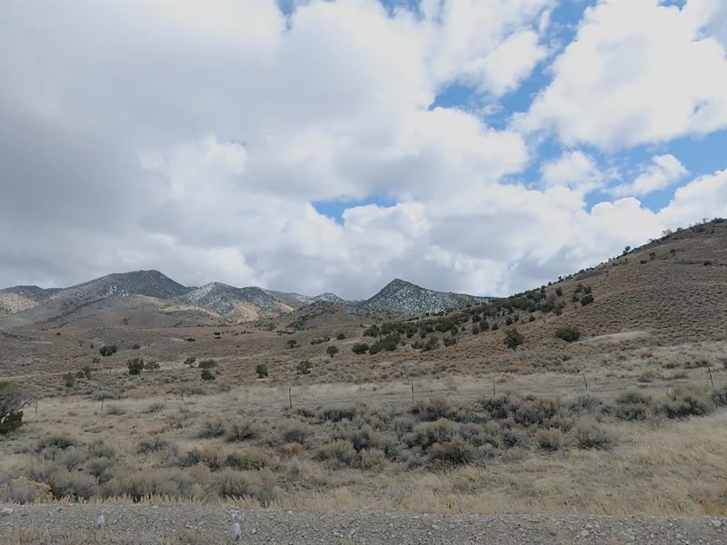 Prime Land for Sale in Elko County : Montello : Elko County : Nevada