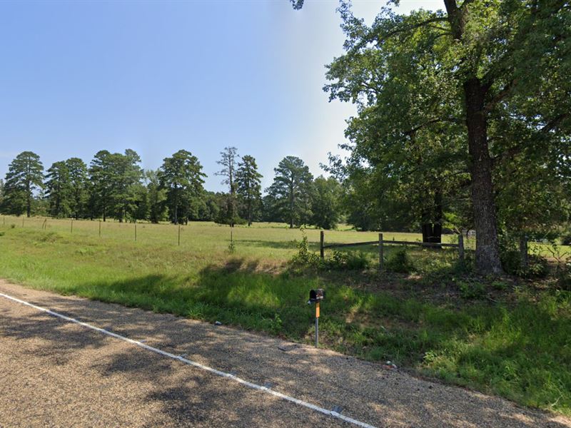 Cheap Land : Avinger : Marion County : Texas