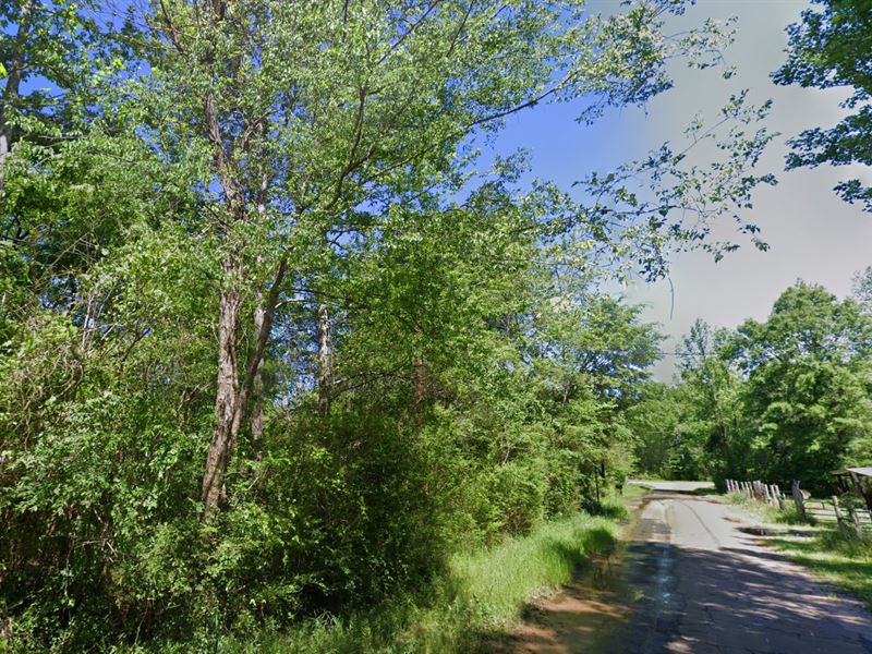 Cheapest 0.5 Acre Near Caddo Lake : Bivins : Marion County : Texas