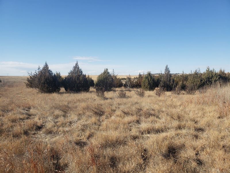 Glanz Sidney Hunt and Farm : Sidney : Cheyenne County : Nebraska