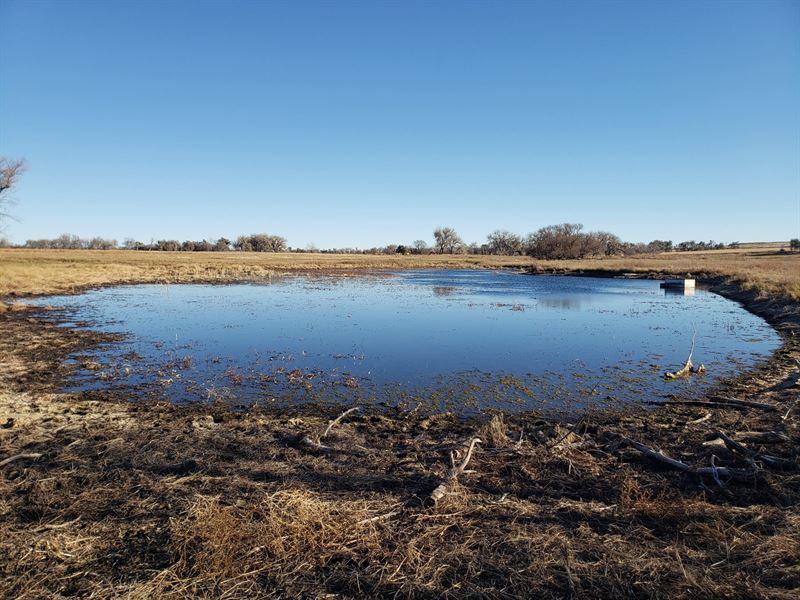 Neilan Hunting, Farm and Ranch : Minatare : Scotts Bluff County : Nebraska