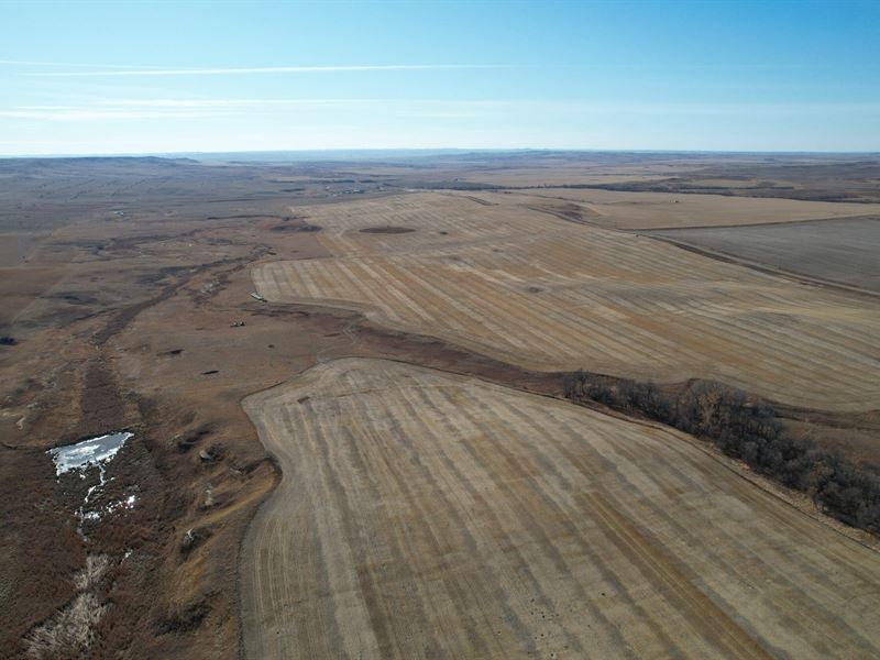 Lacounte Farm East Unit : Bainville : Roosevelt County : Montana