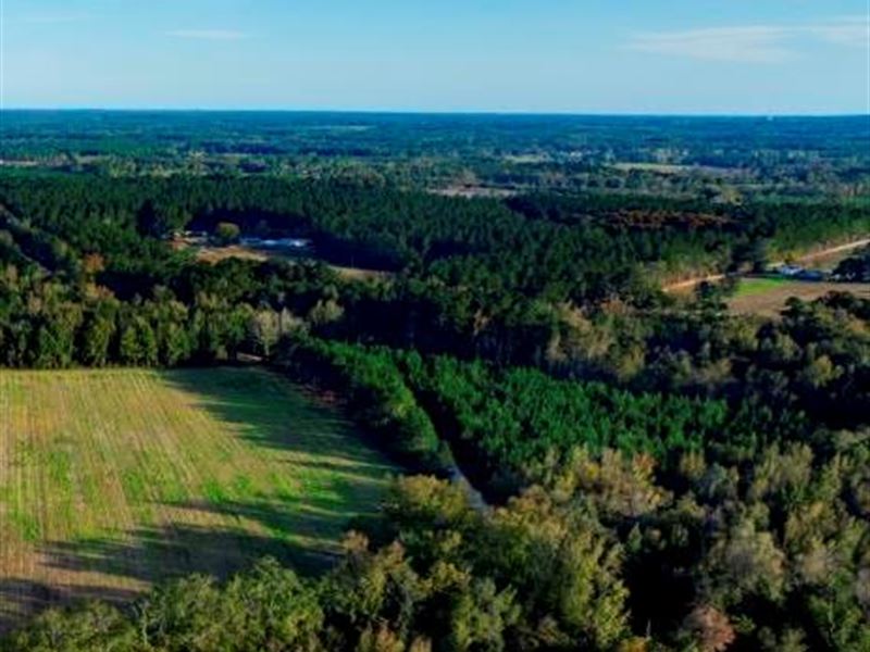 Water Oak Farm, Tract 1 : Sylvania : Screven County : Georgia