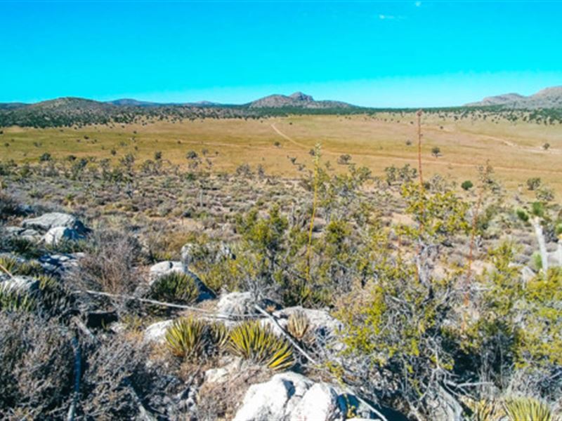 Build Your Basecamp : Meadview : Mohave County : Arizona