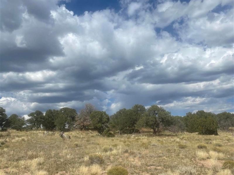 Cl&G Ranch Lot 34, Walsenbu : Walsenburg : Huerfano County : Colorado