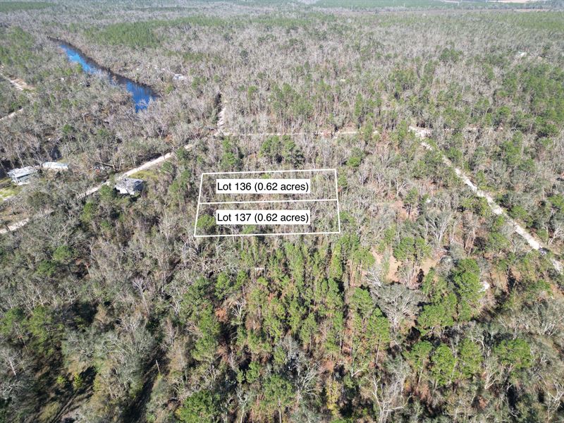 NW 22nd Ave, Jasper, FL 32052 : Jasper : Hamilton County : Florida