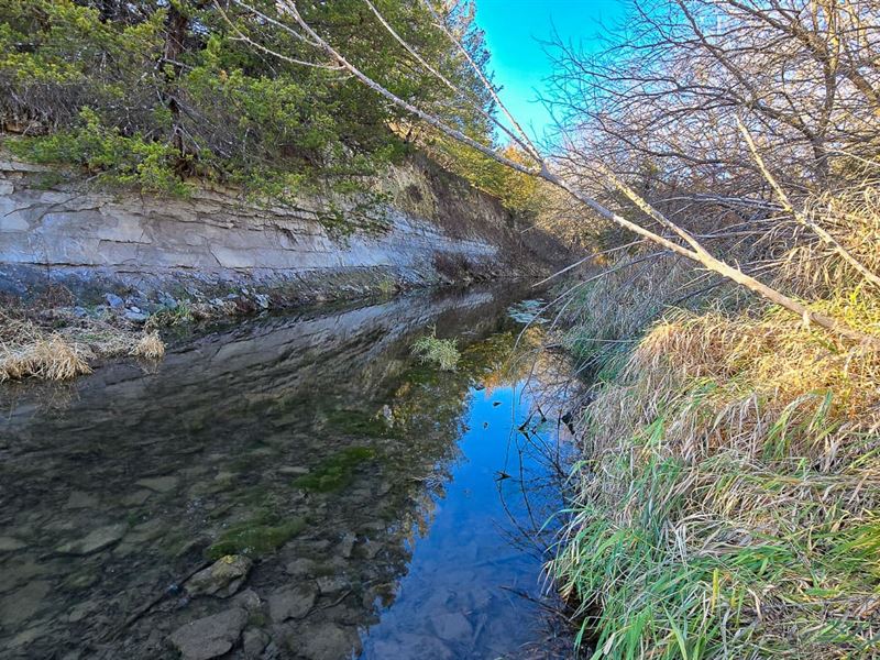 Gage County Spring Creek : Wymore : Gage County : Nebraska