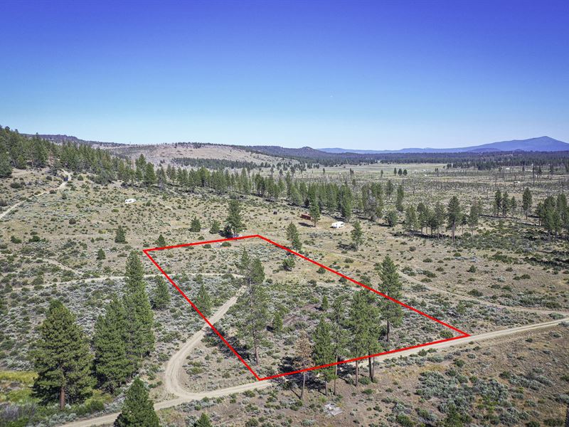 2.8 Acres of Untapped Potential : Chiloquin : Klamath County : Oregon