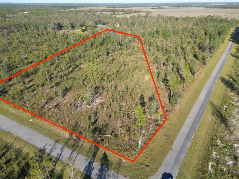 4.57 Acre Lot with Growth Potential : Live Oak : Suwannee County : Florida