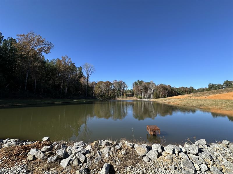 County Rd 21 Tract : Red Level : Covington County : Alabama