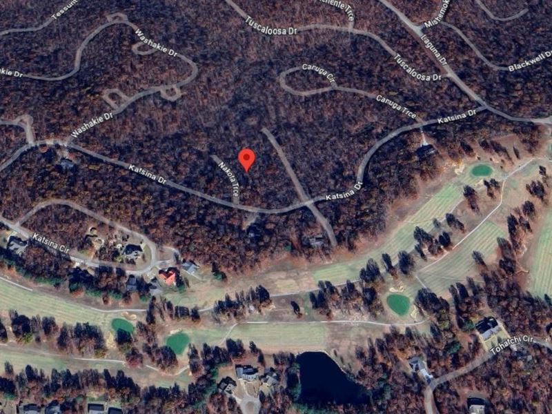 .25 Acre in Fulton County, AR : Cherokee Village : Fulton County : Arkansas