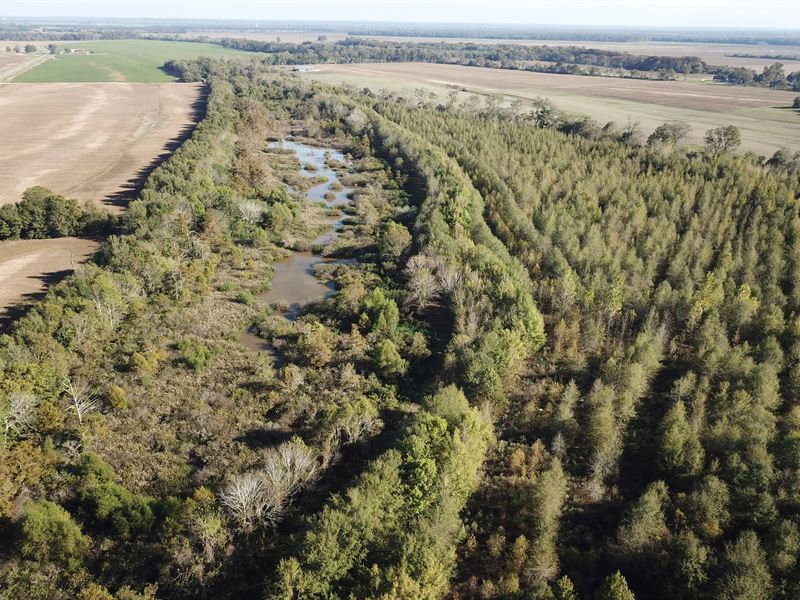 La, Tensas 130 Acres : Saint Joseph : Tensas Parish : Louisiana