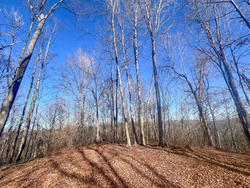 Fairgreens Rd, 23 Acres, Jackson : Jackson : Jackson County : Ohio