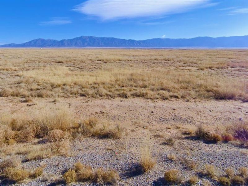 .25 Acre Only 21 Min to Los Lunas : Los Lunas : Valencia County : New Mexico