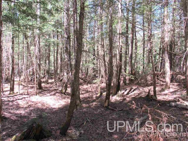 Michigan 80 Acre Property : Chassell : Houghton County : Michigan