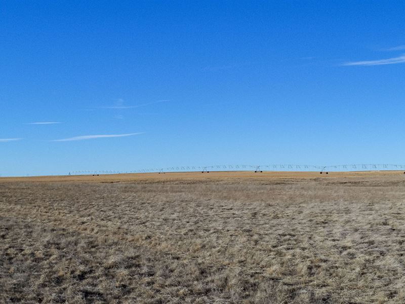 Wisroth Farm : Burns : Laramie County : Wyoming