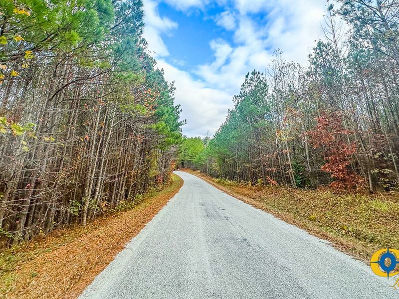 Williams Grove Tract : Camden : Benton County : Tennessee