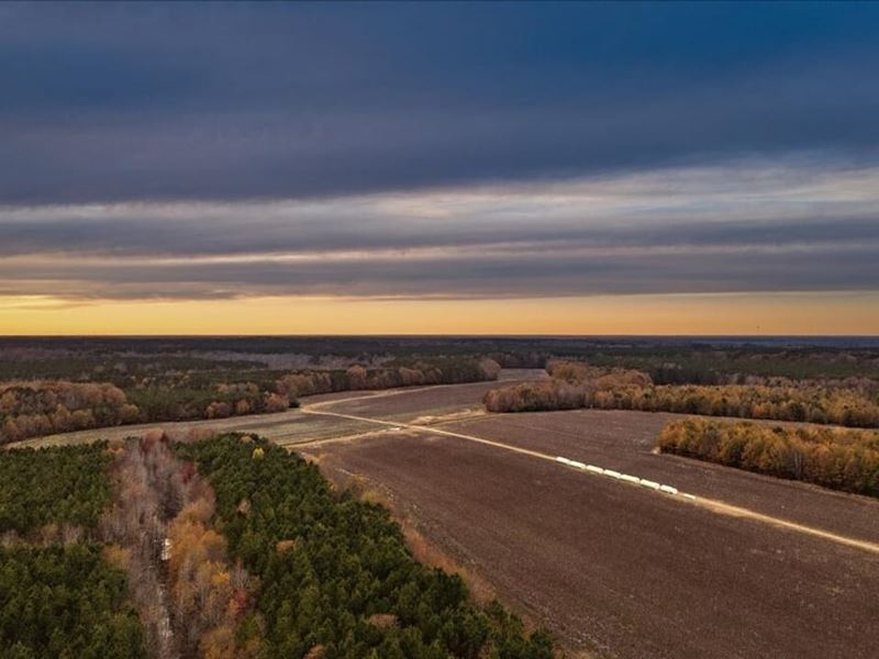 557 Acres of Prime Agricultural : Halifax : Halifax County : North Carolina