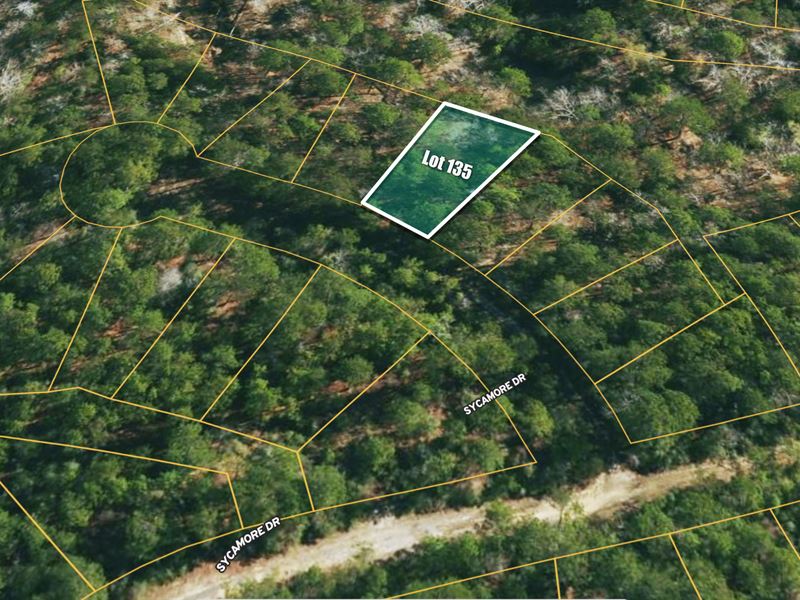 .21 Ac in Brookeland, TX : Browndell : Jasper County : Texas