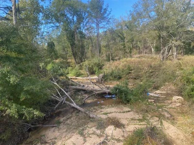 1.2 Acres in Franklin County, MS : Roxie : Franklin County : Mississippi