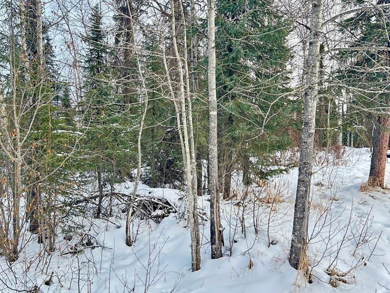 .97 Acre Lot in Sterling : Sterling : Kenai Peninsula Borough : Alaska