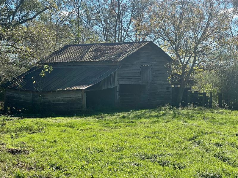 15 Acres in Scott County, MS : Pulaski : Scott County : Mississippi