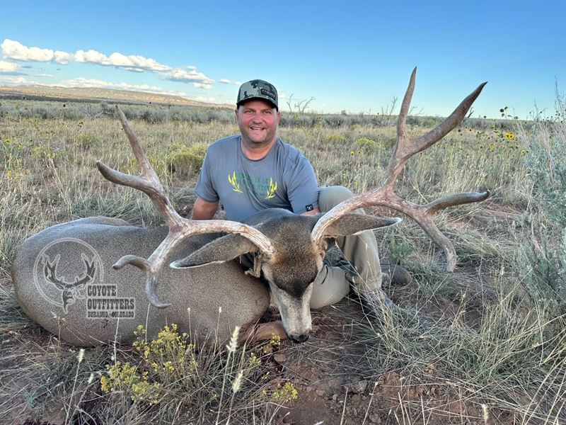 Buck Haven Ranch : Hesperus : La Plata County : Colorado