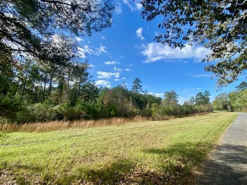 18.94 Acres in Lincoln County : Brookhaven : Lincoln County : Mississippi